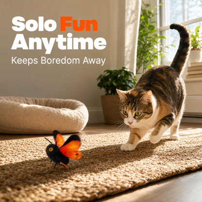🎁2026 New Arrivals 49% OFF💥Smart Sensing Flapping Butterfly Toy for Cats – Auto-Motion Activation, Realistic Flutter & Endless Play 🦋✨